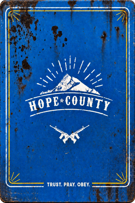 Far Cry 5 (Steelbook edition) Sony PlayStation 4 PAL FR – Action-Aventure Sony PlayStation 4 très bon état testé