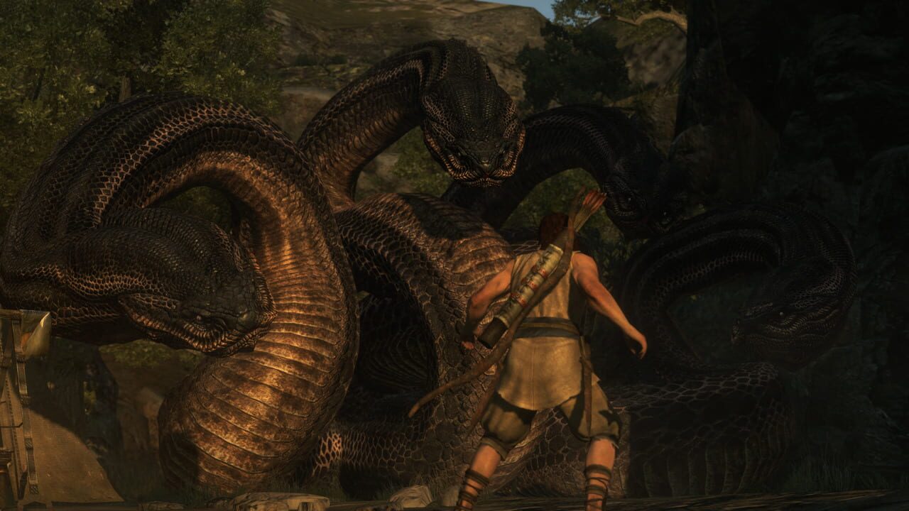 dragon dogma dark arisen ps4 – capture d'écran gameplay Nintendo Wii