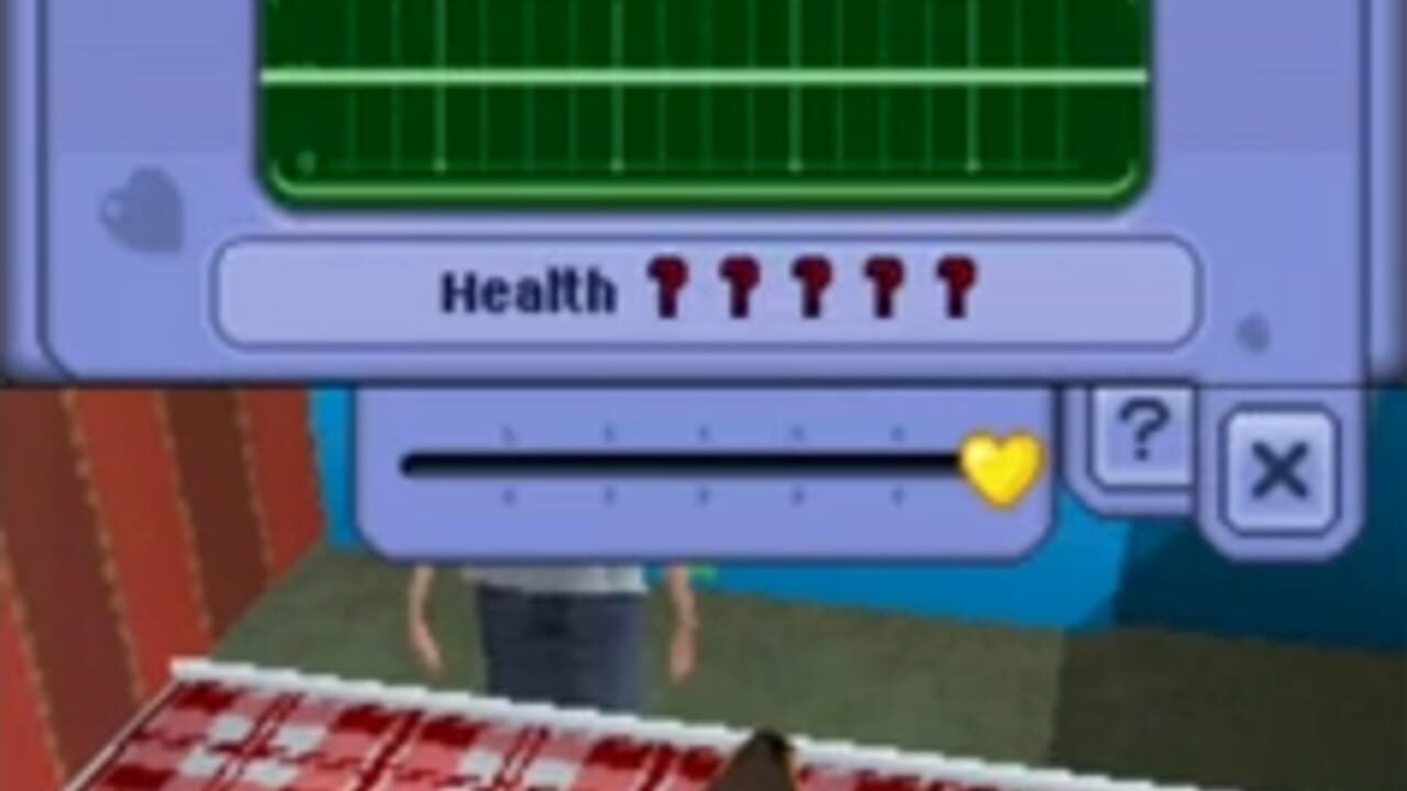 les sims 2 pets ds – capture d'écran gameplay Nintendo Wii